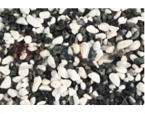 Мрамор микс бело-черный галтованный, 10-20 мм